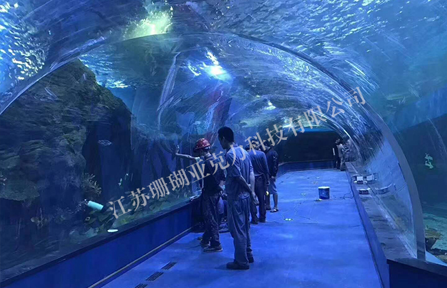 海底鱼缸