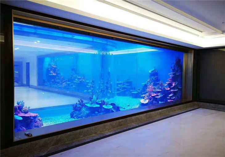 墙体长方形鱼缸